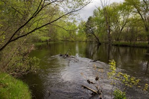 Hike along the Nashua River and the Oxbow National Wildlife Refuge