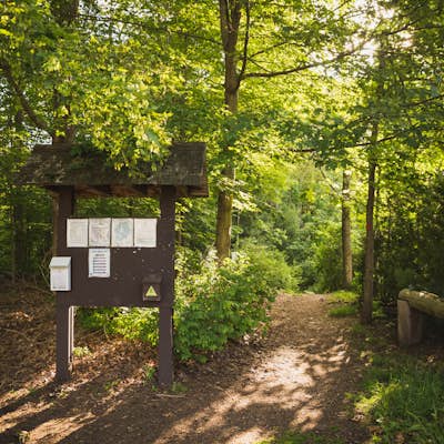 Hike the Pratt's Brook Conservation Area Loop