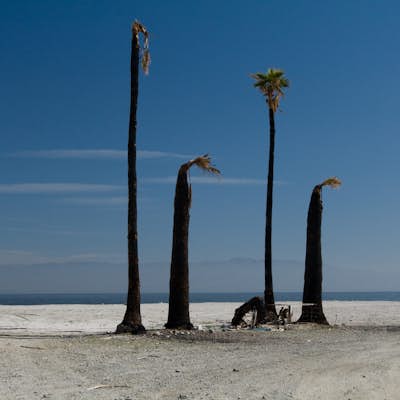 Photograph the West Shore of the Salton Sea