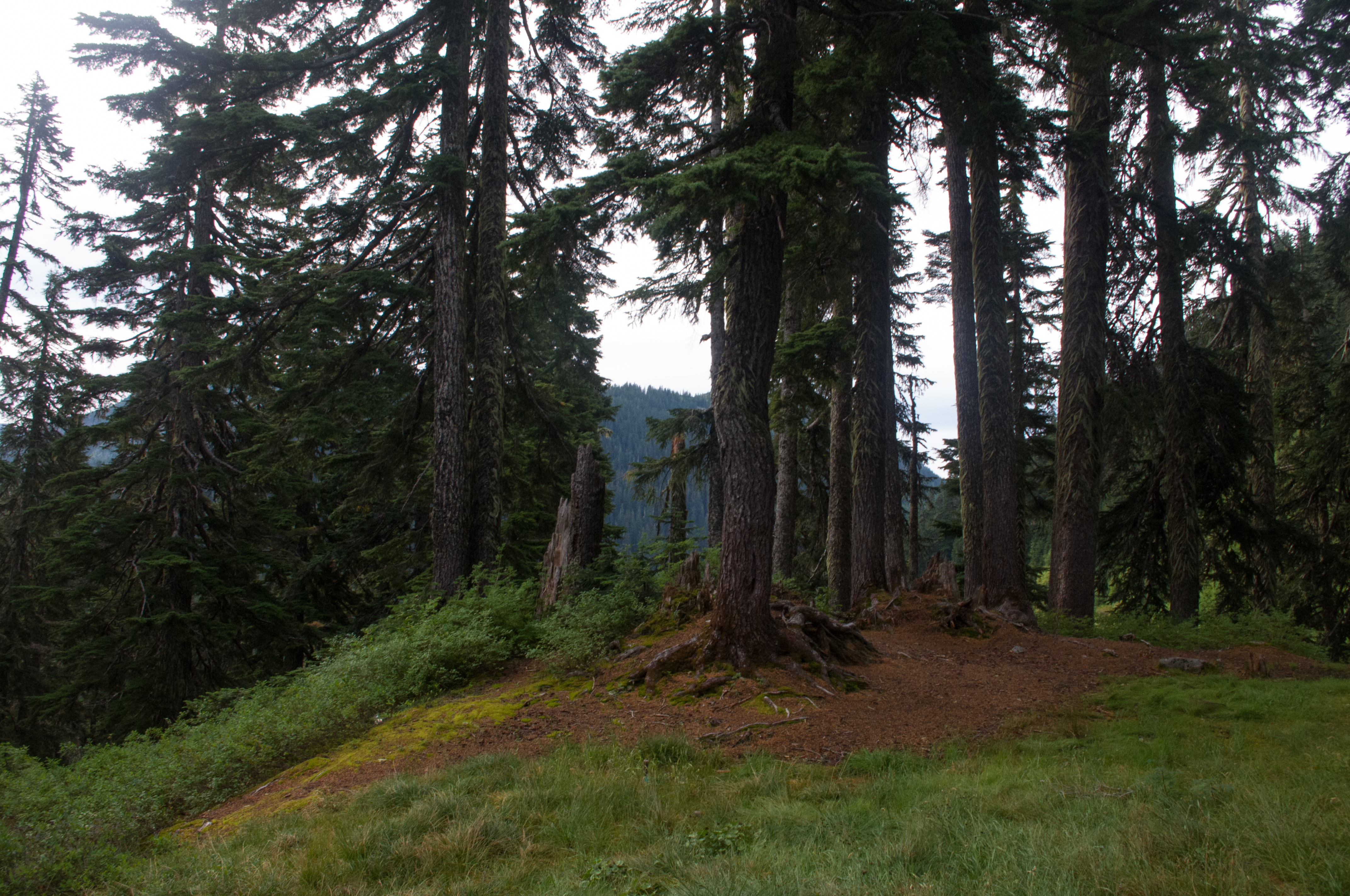 Hike to Josephine Lake