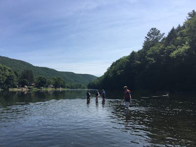 Canoe the Allegheny River 