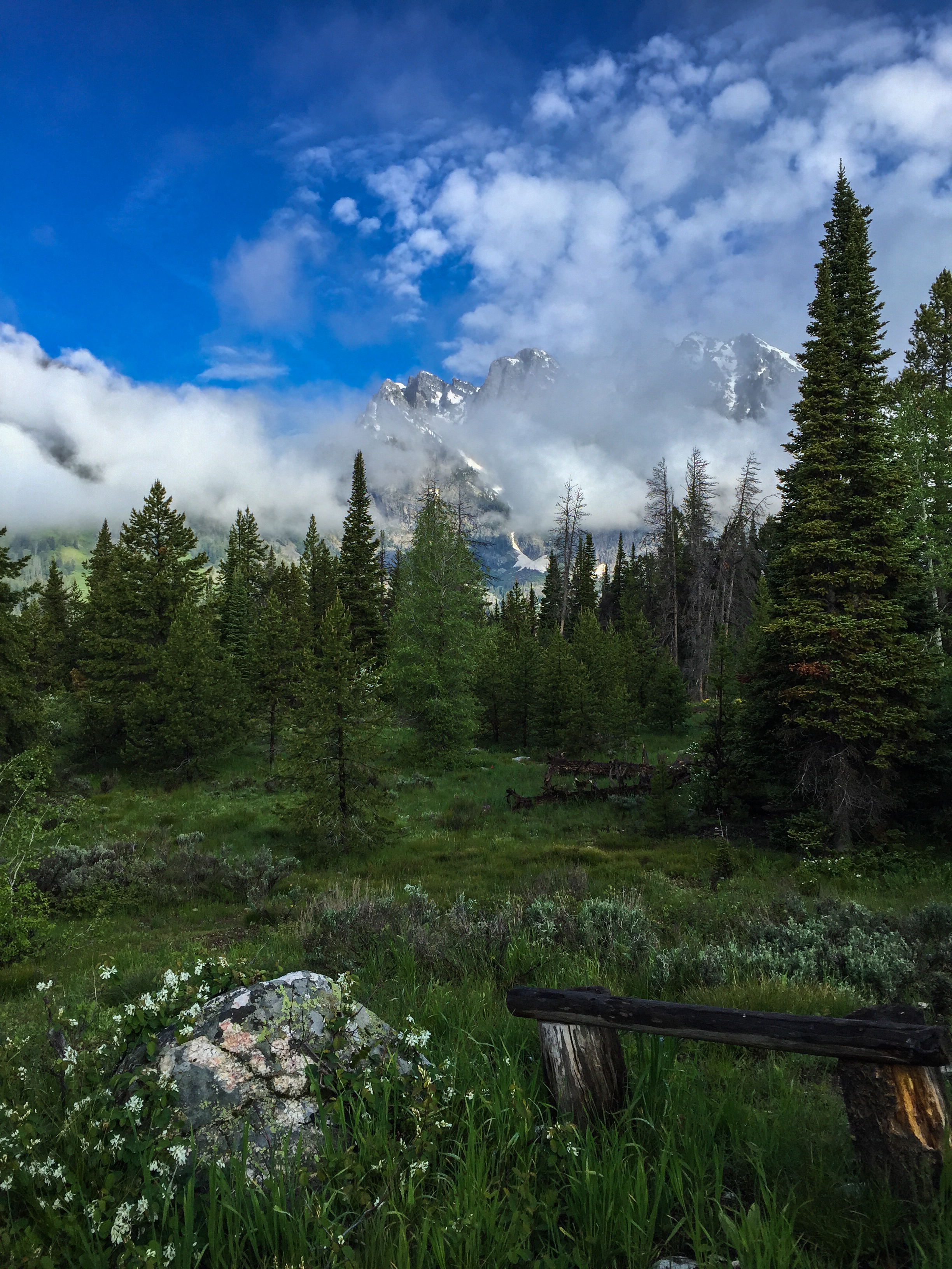 Camp at the Jenny Lake Campground