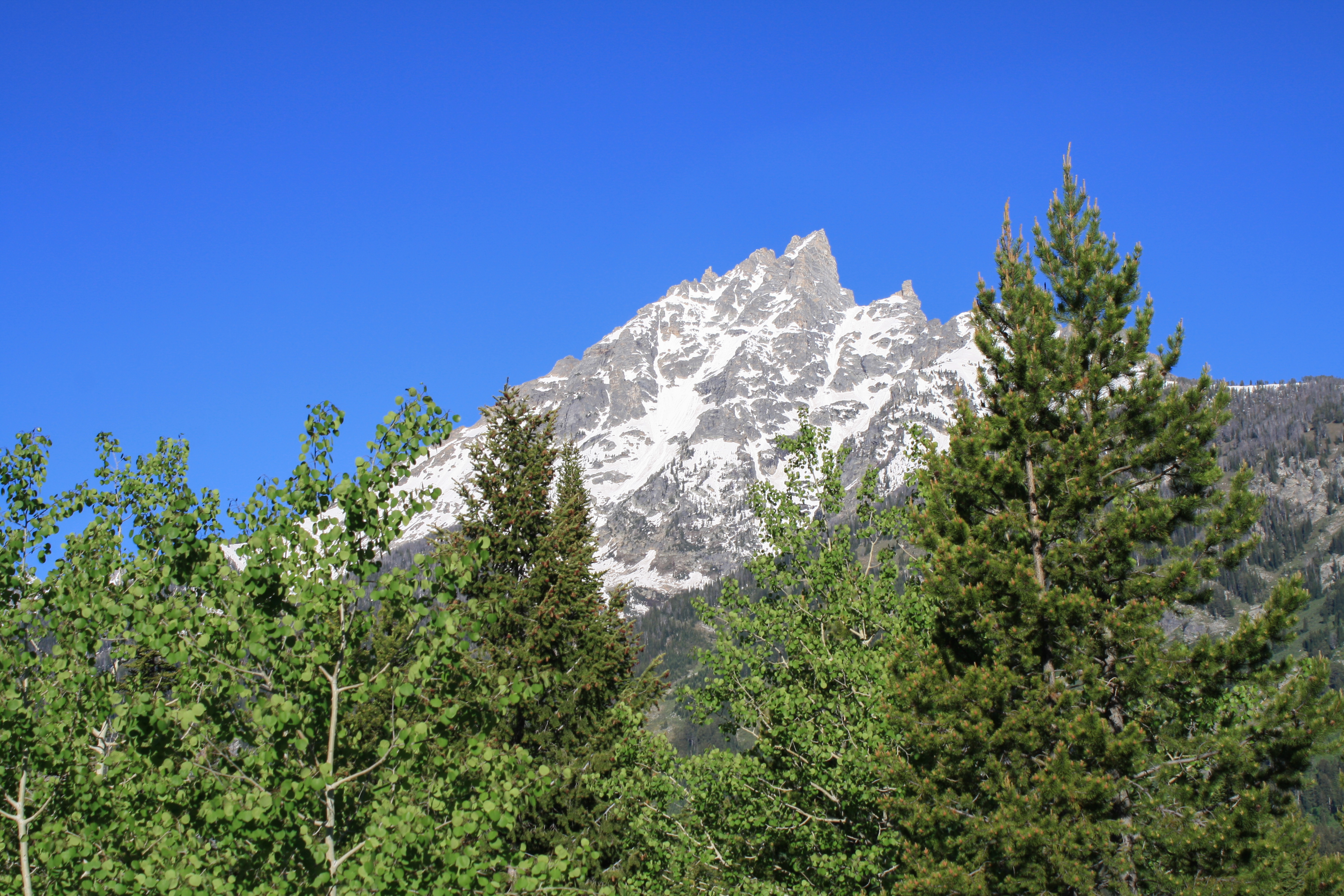 Camp at the Jenny Lake Campground