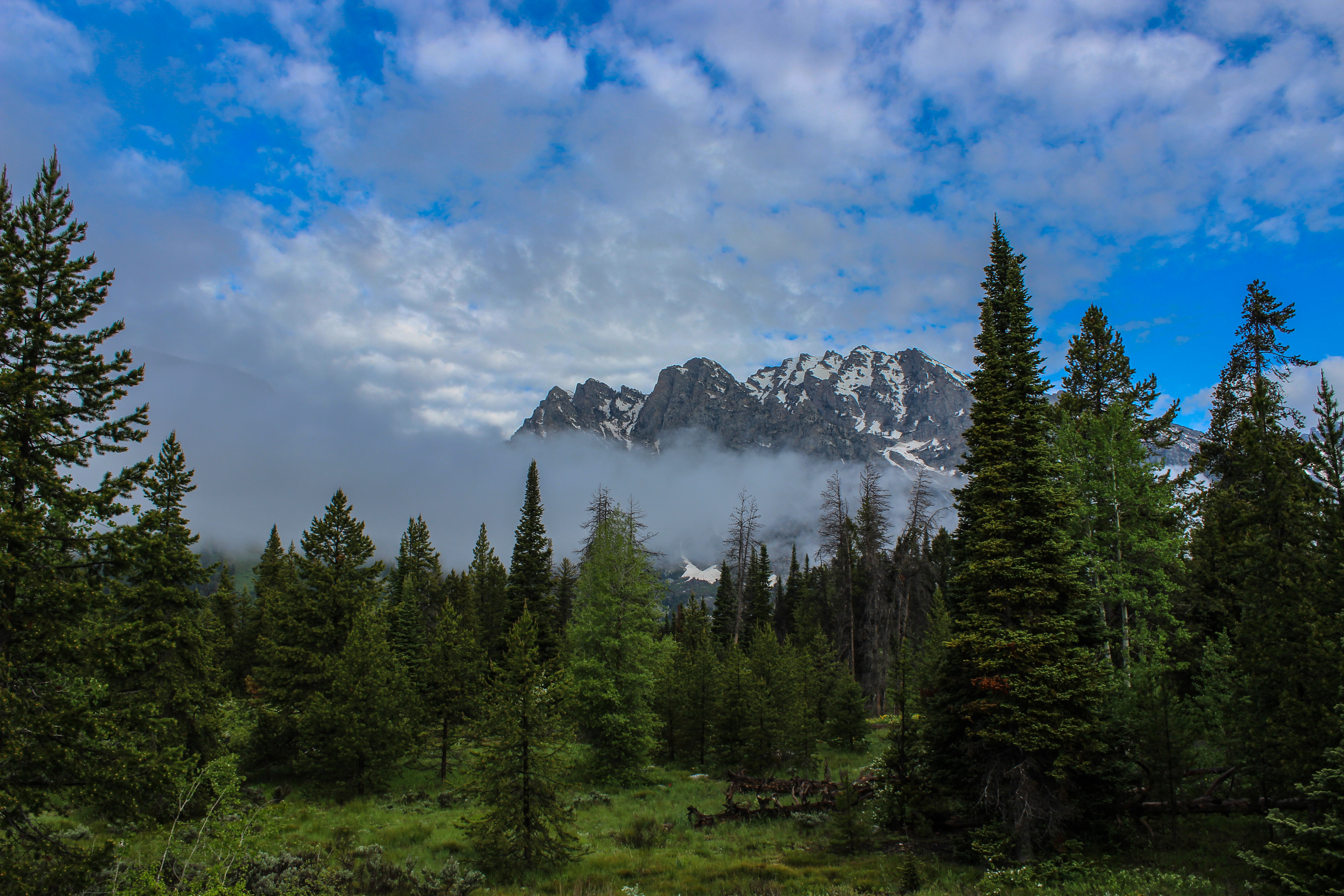 Camp at the Jenny Lake Campground