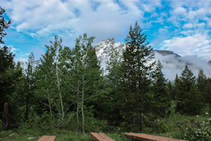 Camp at the Jenny Lake Campground