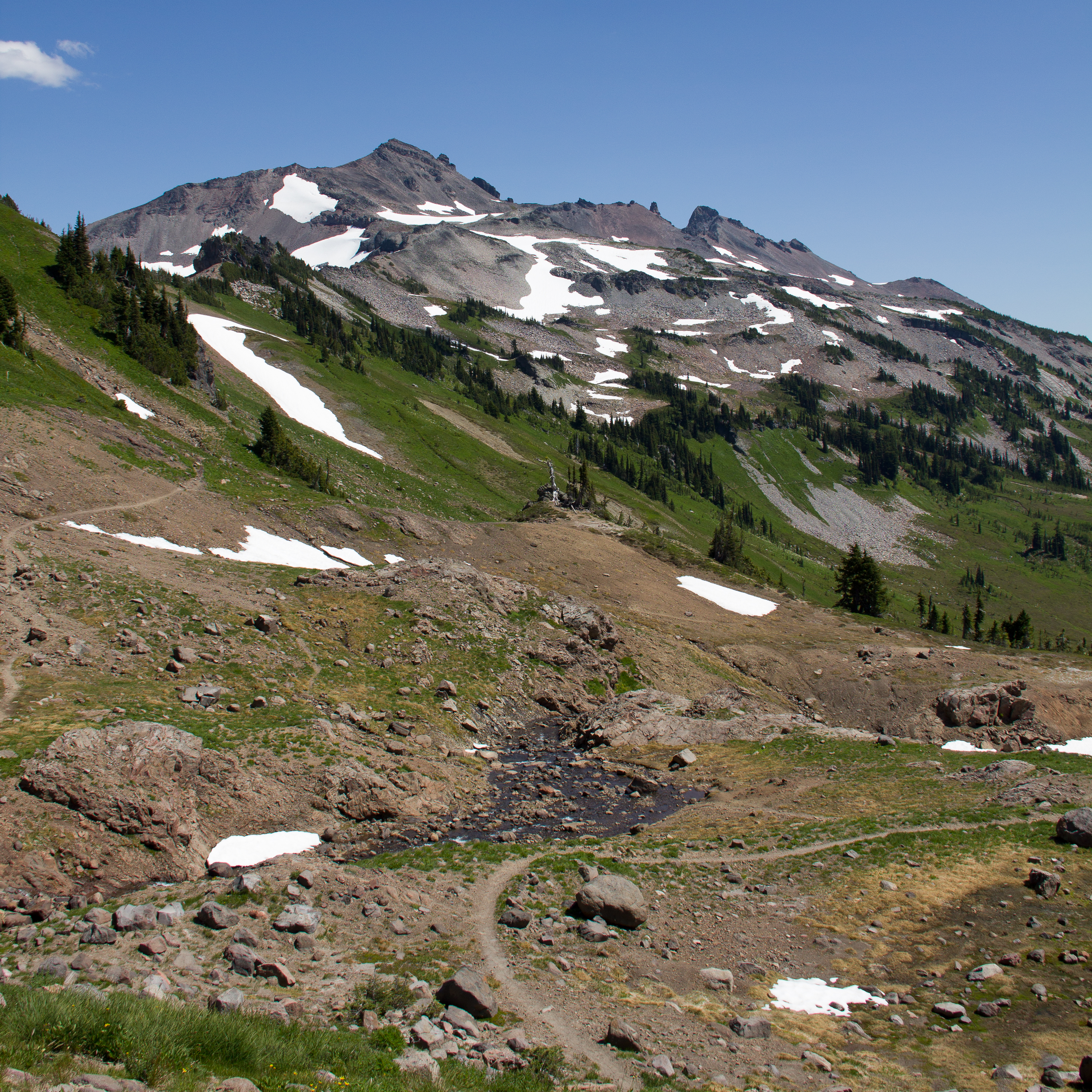 Goat Lake-Jordan Basin Loop