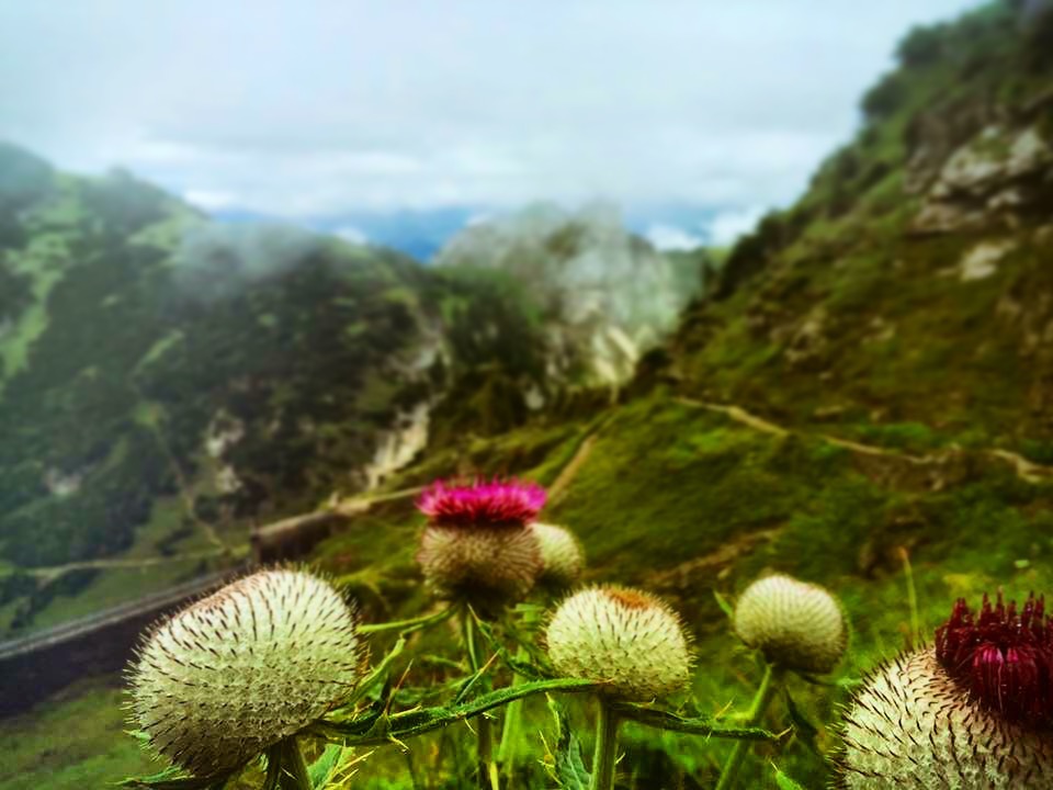 The best Camping in and near Munich, Germany