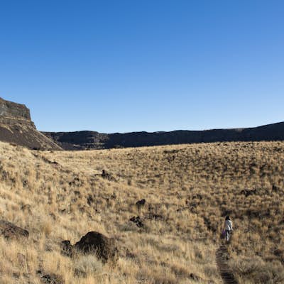 Umatilla Rock Trail