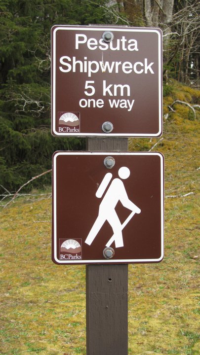 Hike to the Pesuta Shipwreck