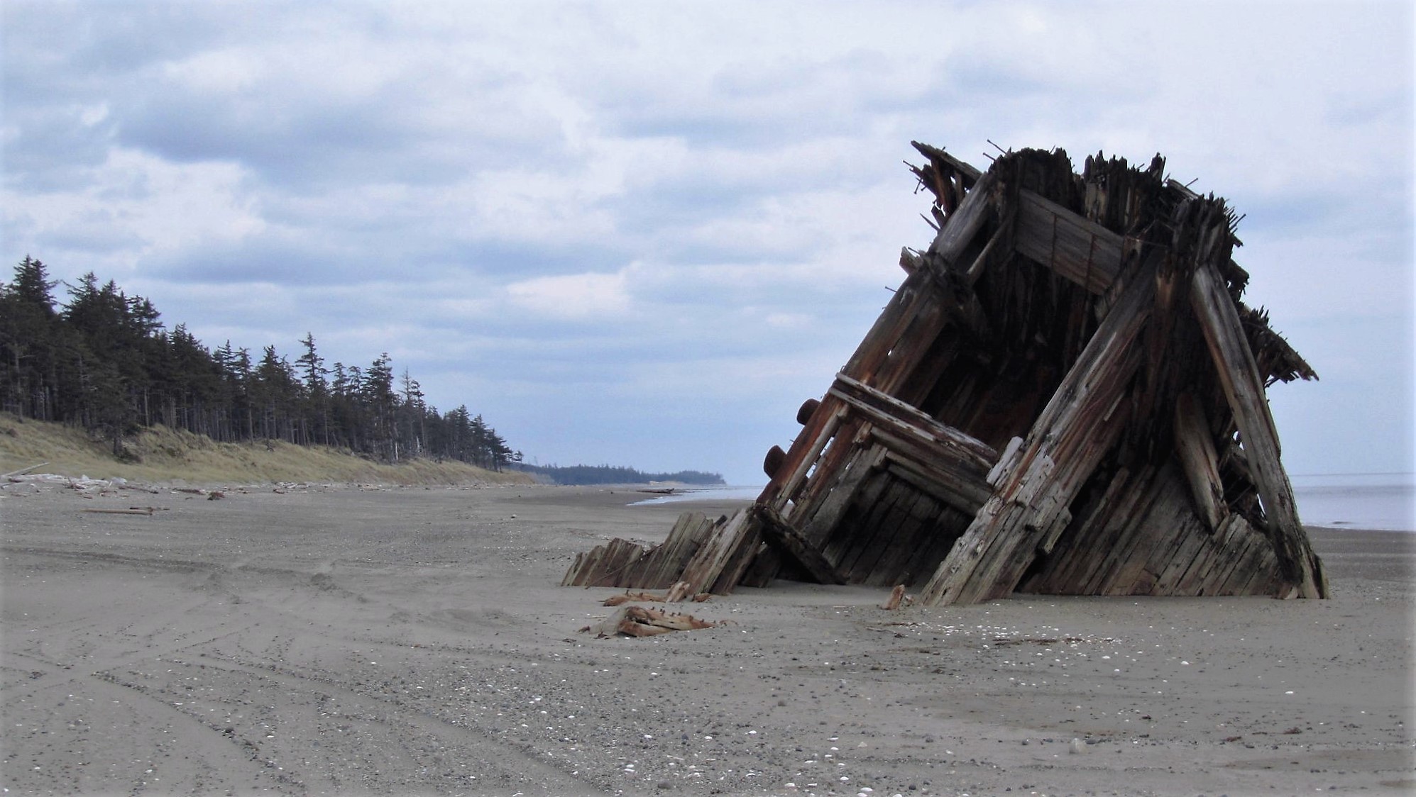 Hike to the Pesuta Shipwreck