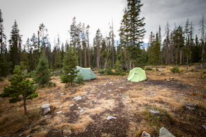 Camp at North Fork Campground