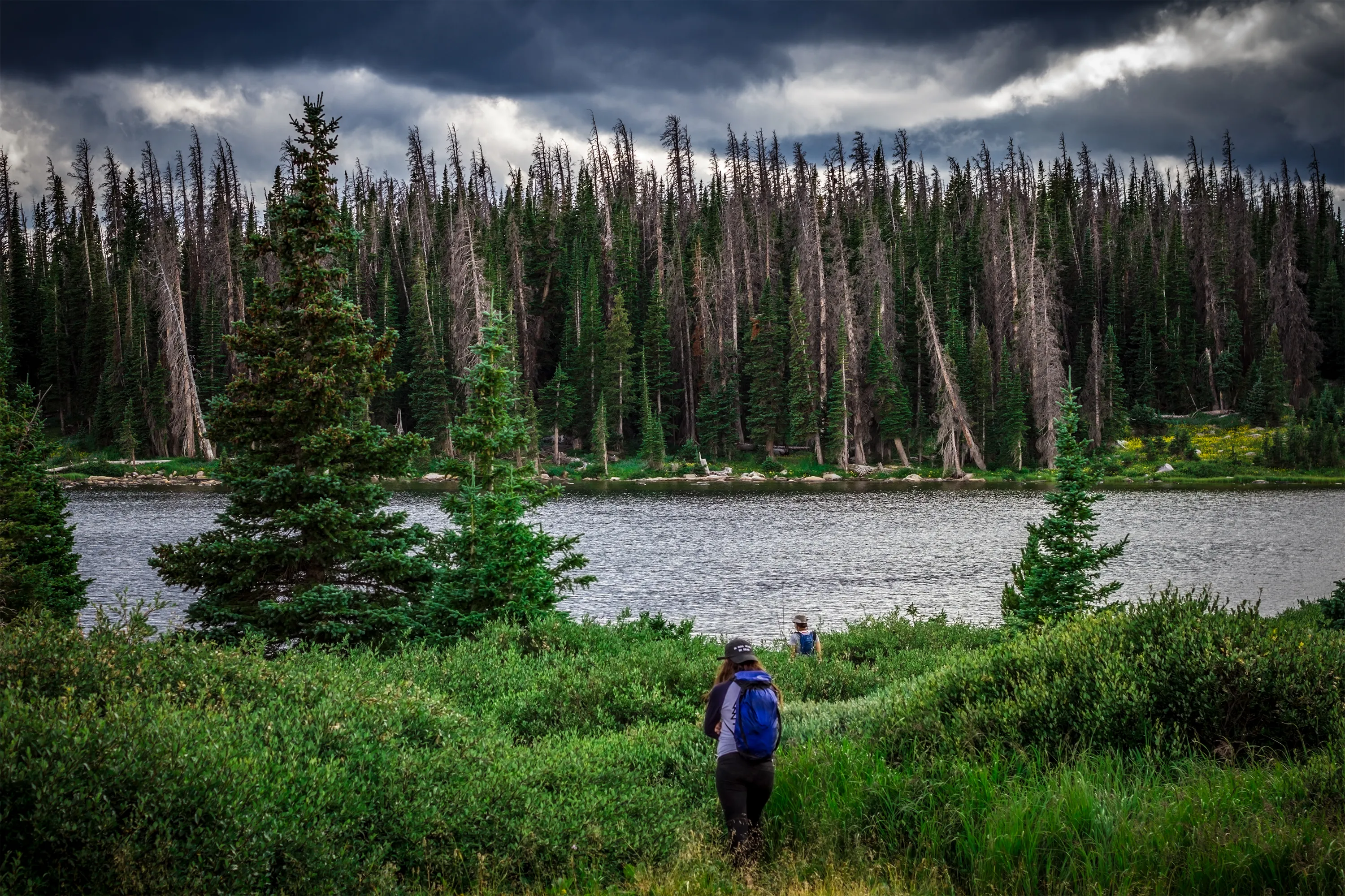 Camp Brooklyn Lake