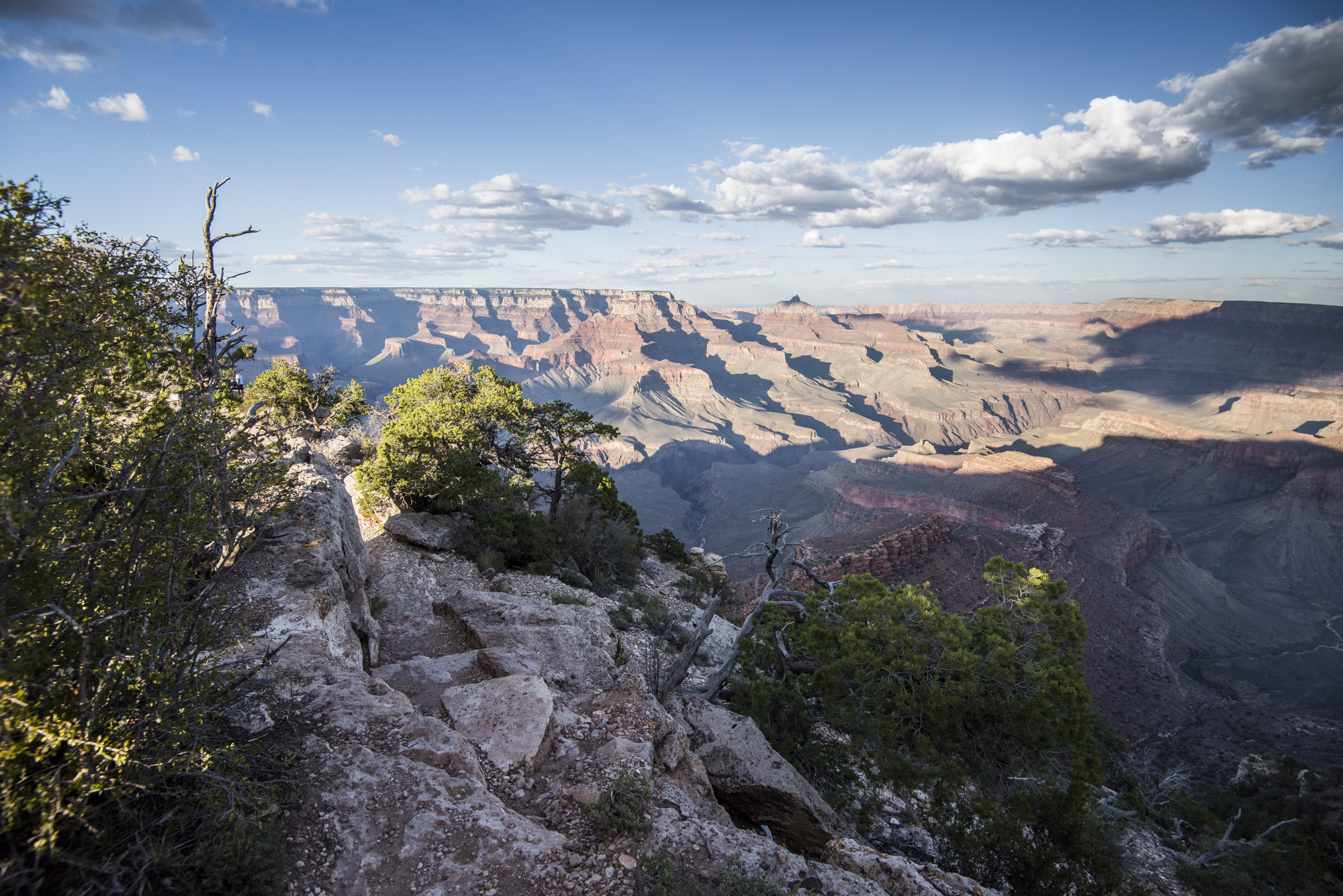 Shoshone Point