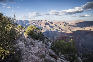 Shoshone Point