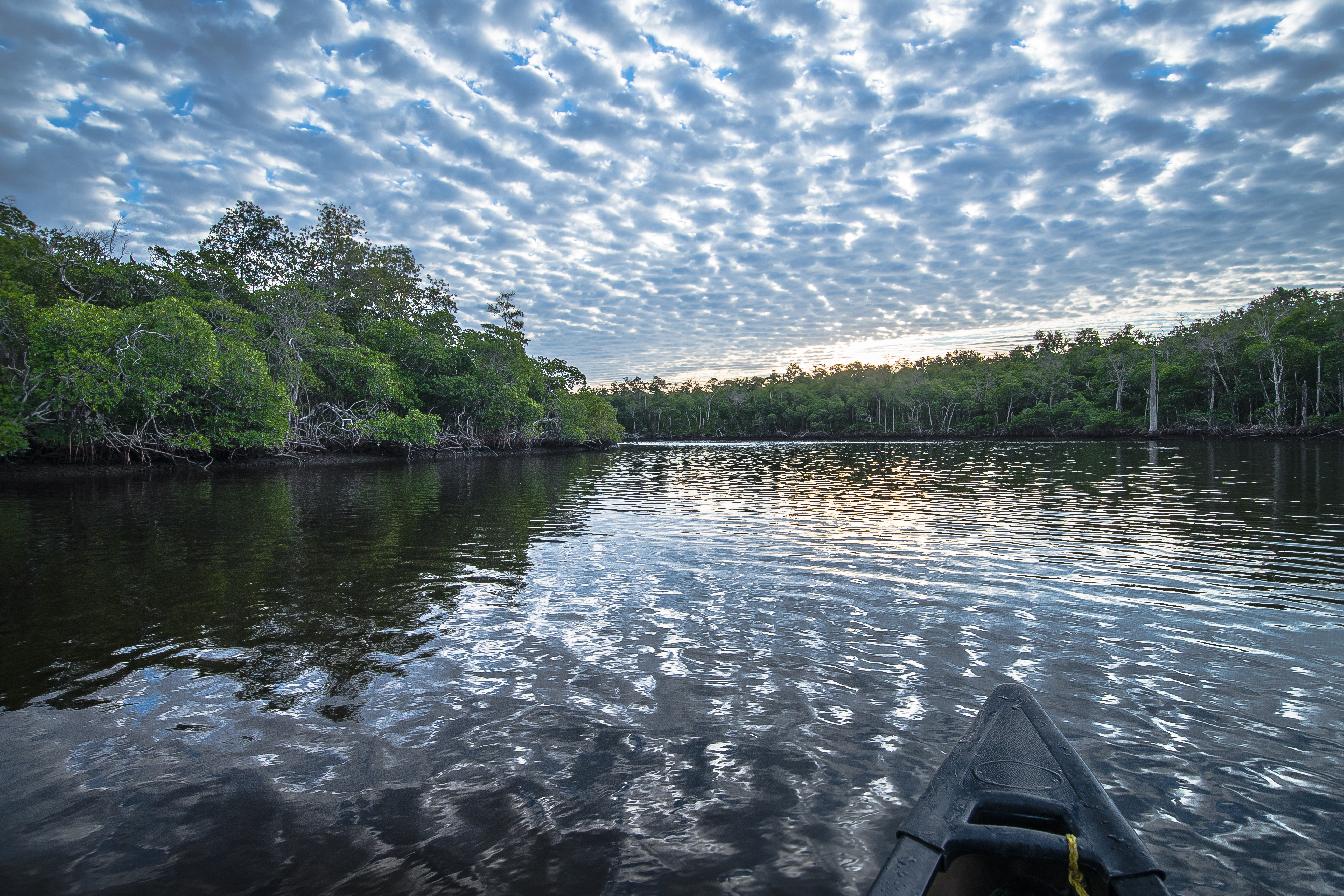Paddle The Everglades' Wilderness Waterway