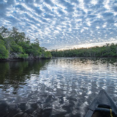 Paddle The Everglades' Wilderness Waterway
