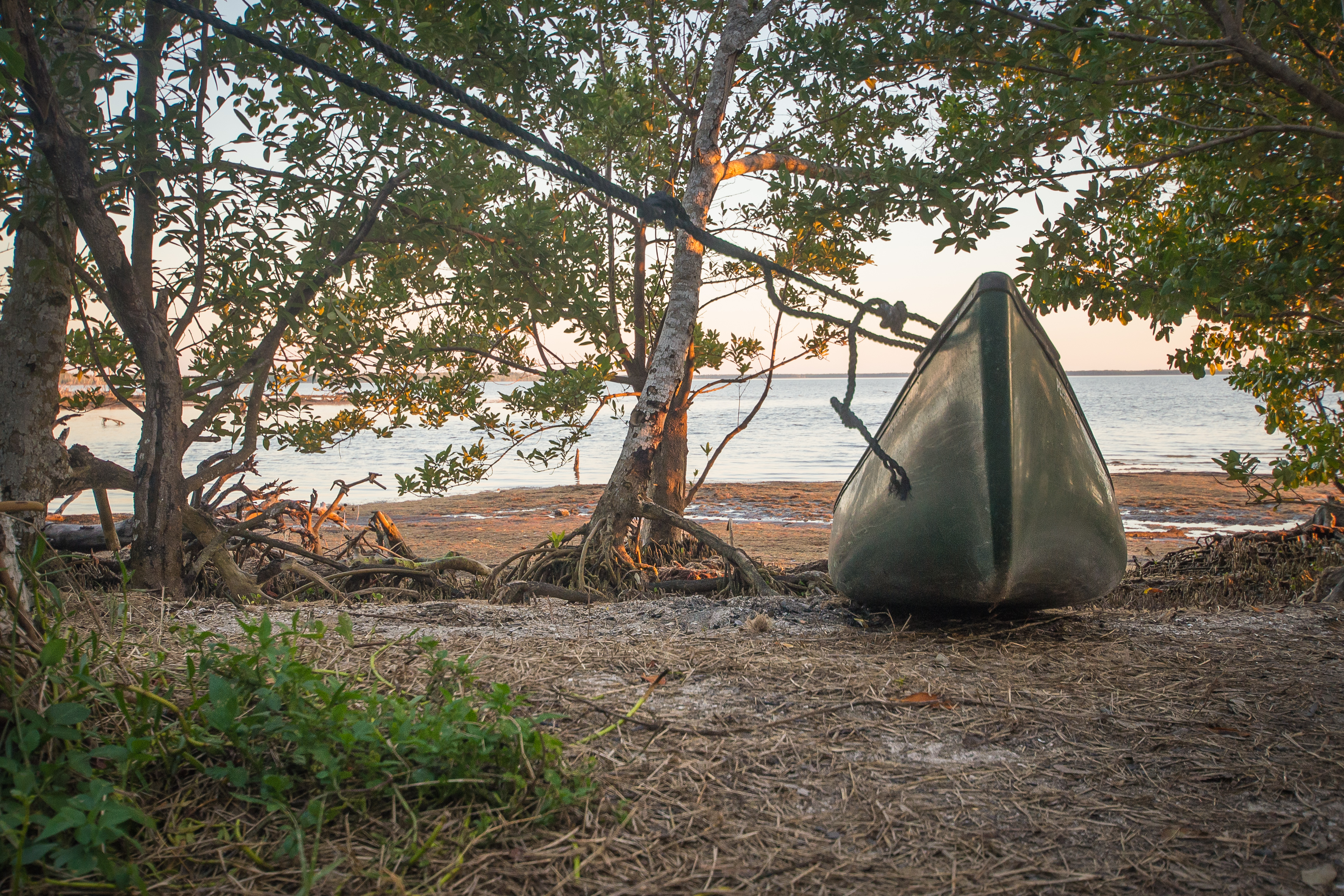 Paddle The Everglades' Wilderness Waterway