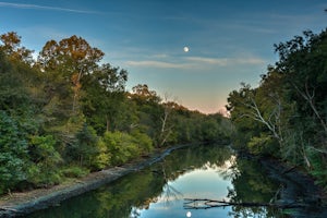 Kayak Betty's Branch