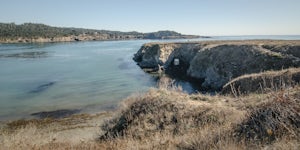 Mendocino Cliffs Trail