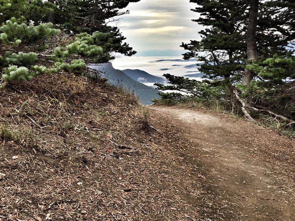 Klahhane Ridge Trail