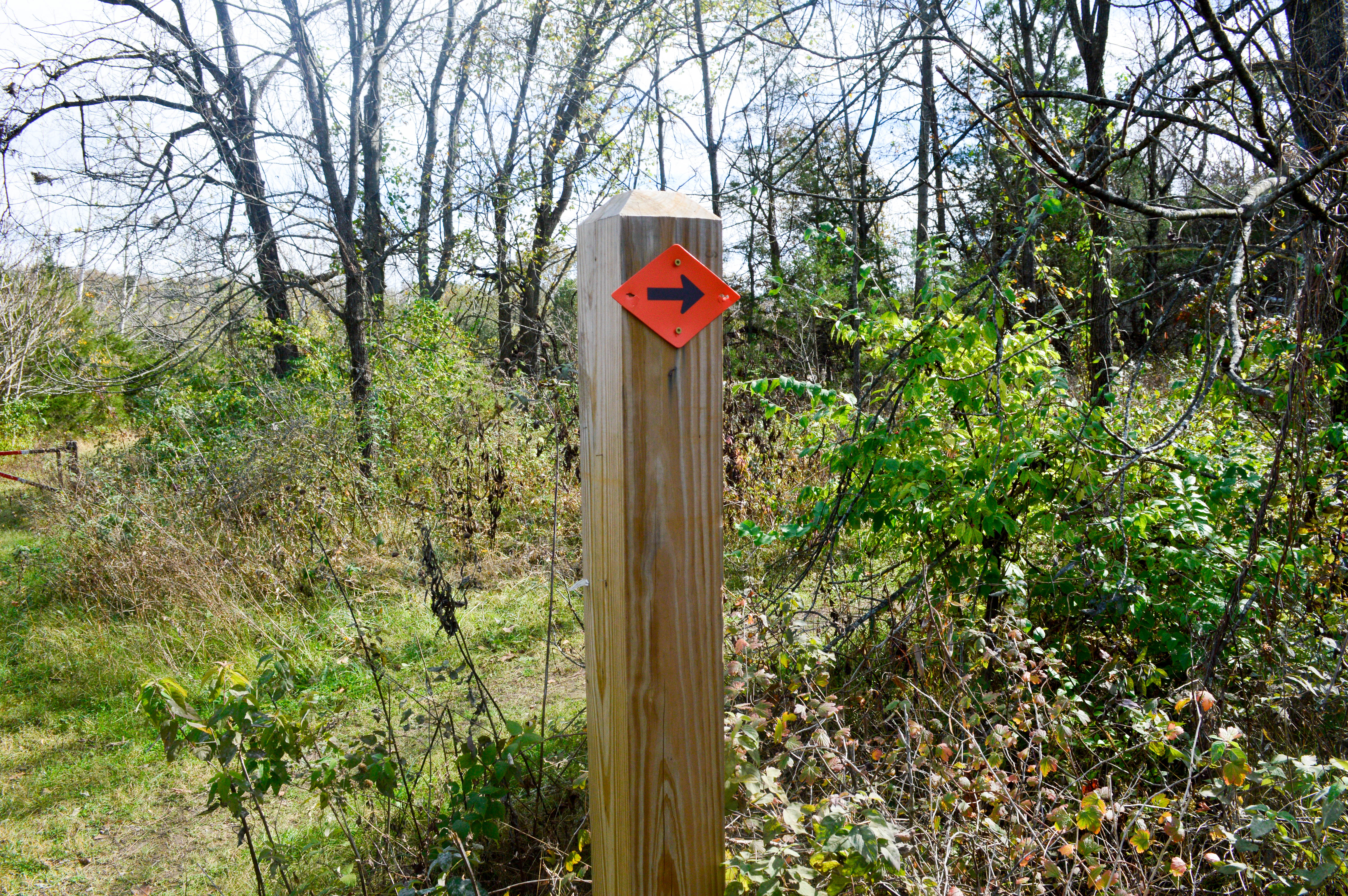 Mountain Bike the Edgewood Trail
