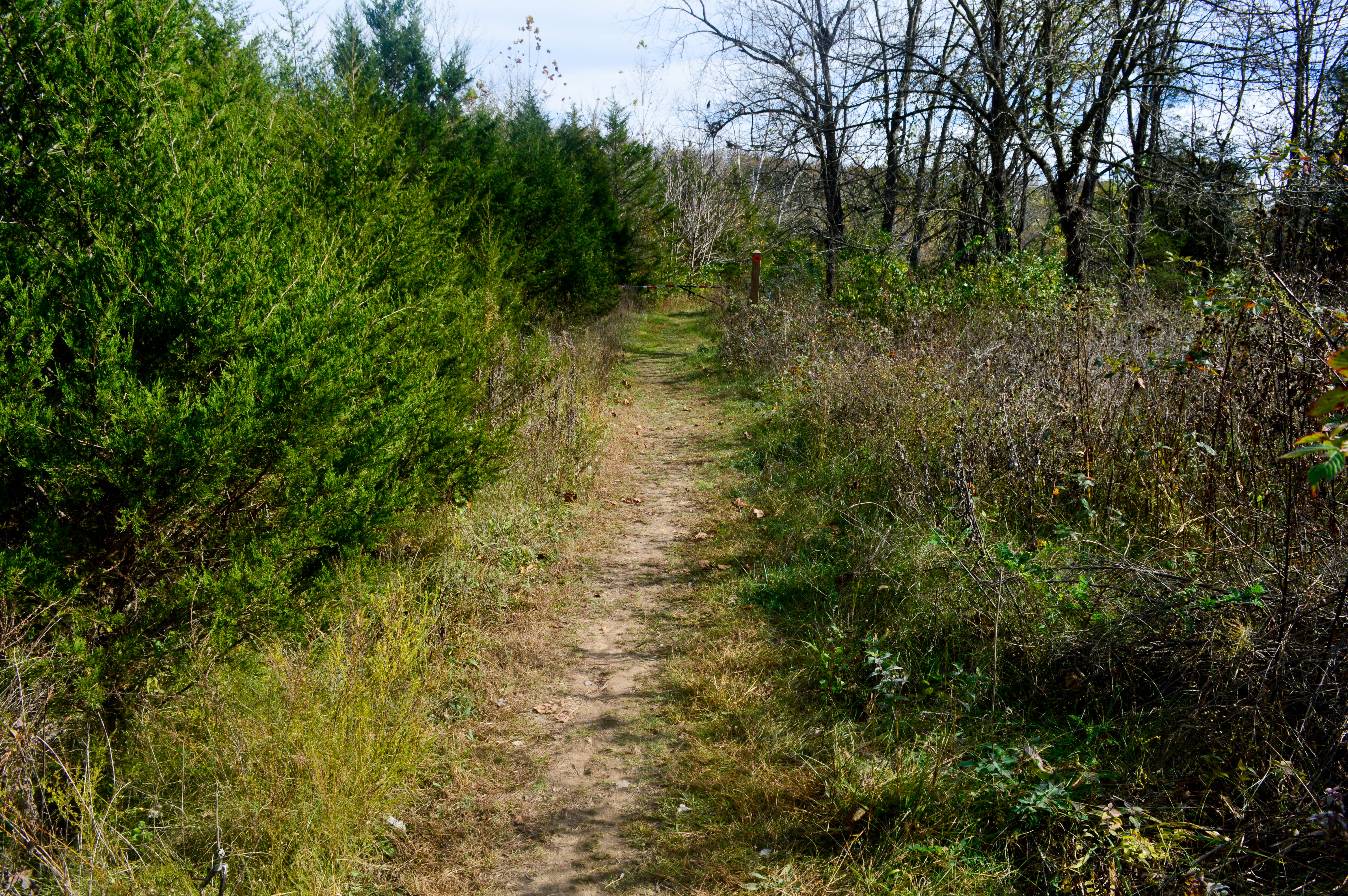 Mountain Bike the Edgewood Trail