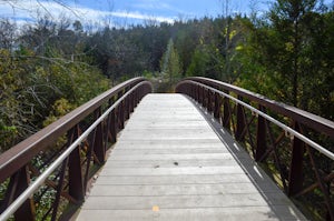 Mountain Bike the Edgewood Trail