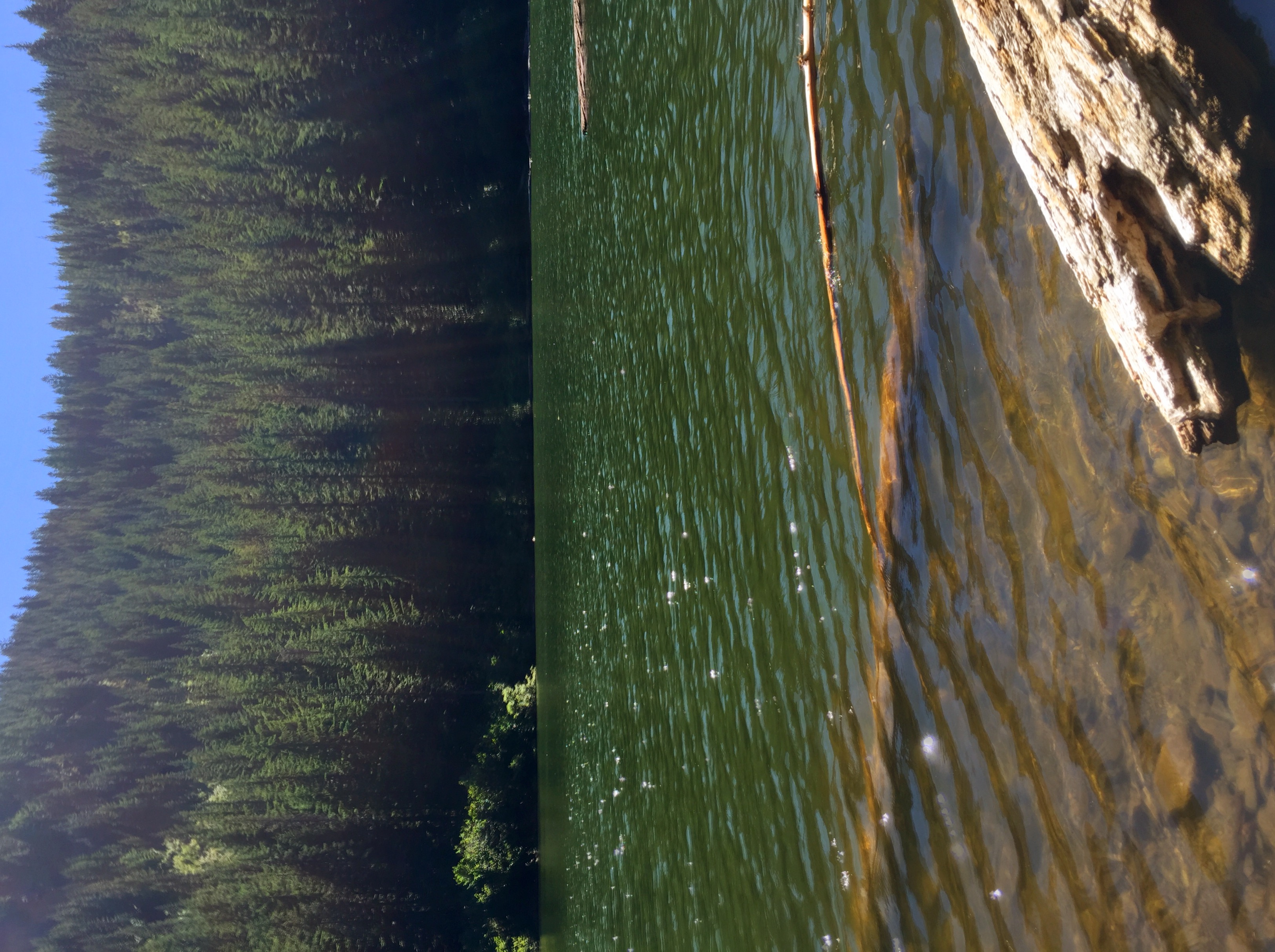 Veda Lake Trail