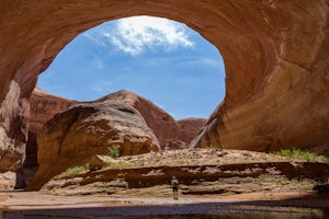 Canyon Rebirth - Exploring the Lower Escalante River Tributaries