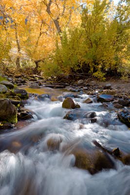Photograph the Fall Colors of McGee Creek