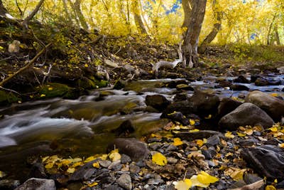 Photograph the Fall Colors of McGee Creek