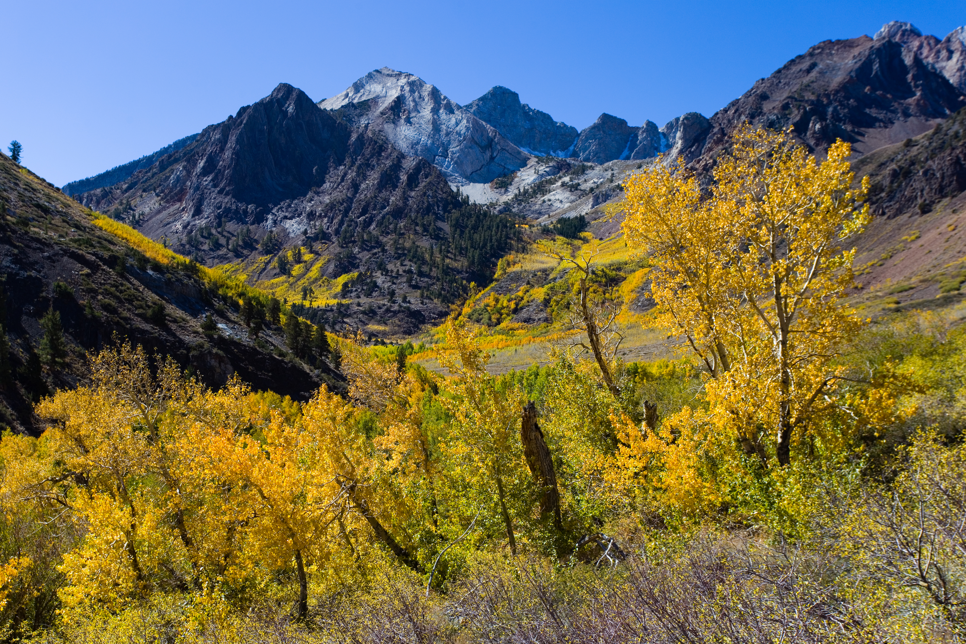 Photograph the Fall Colors of McGee Creek, Mammoth Lakes, California