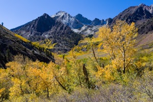 Photograph the Fall Colors of McGee Creek