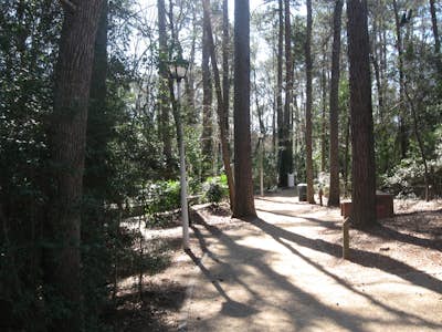 Hike the Huntsville State Park Trail