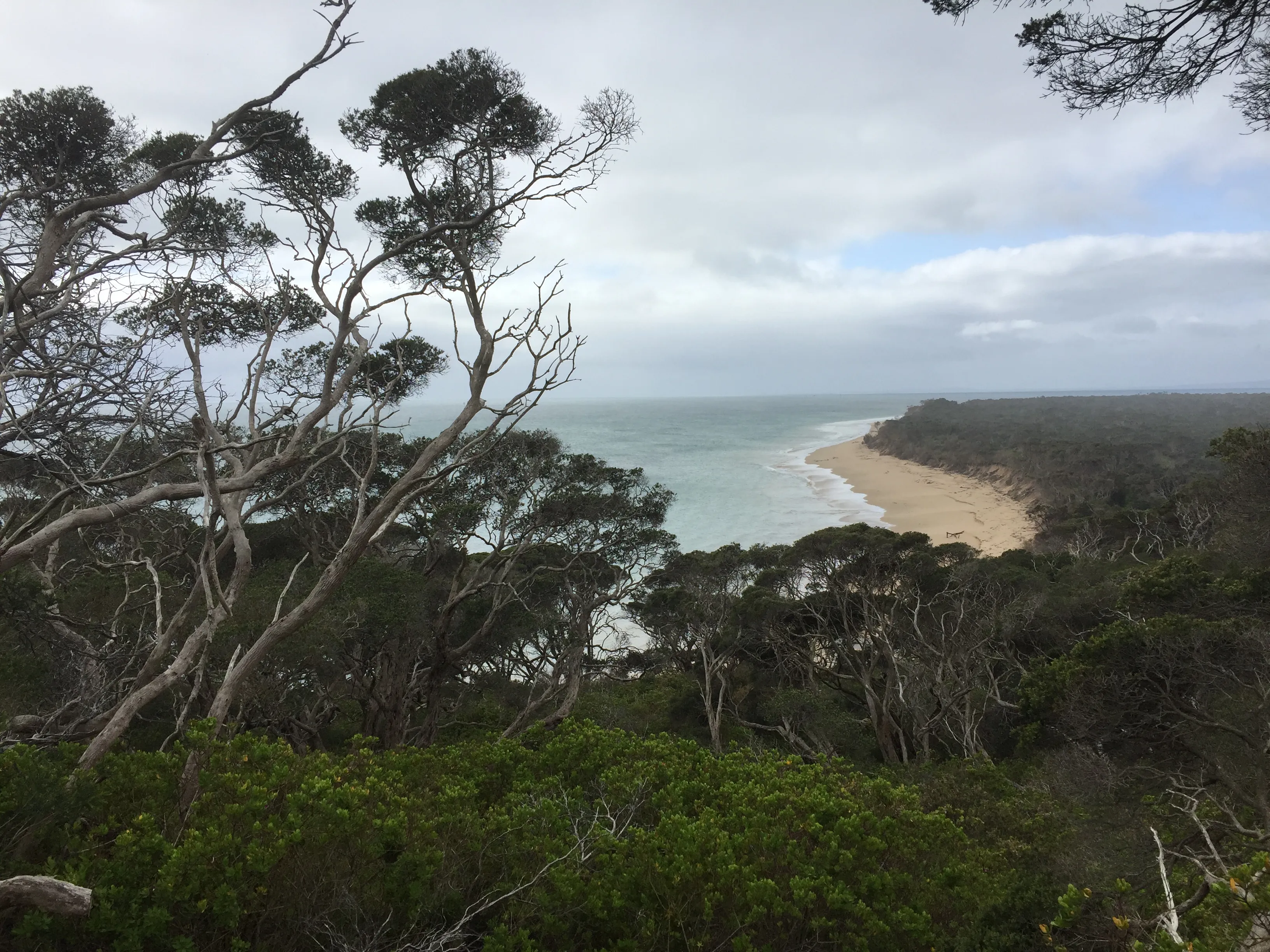 Hike to Fort Nepean