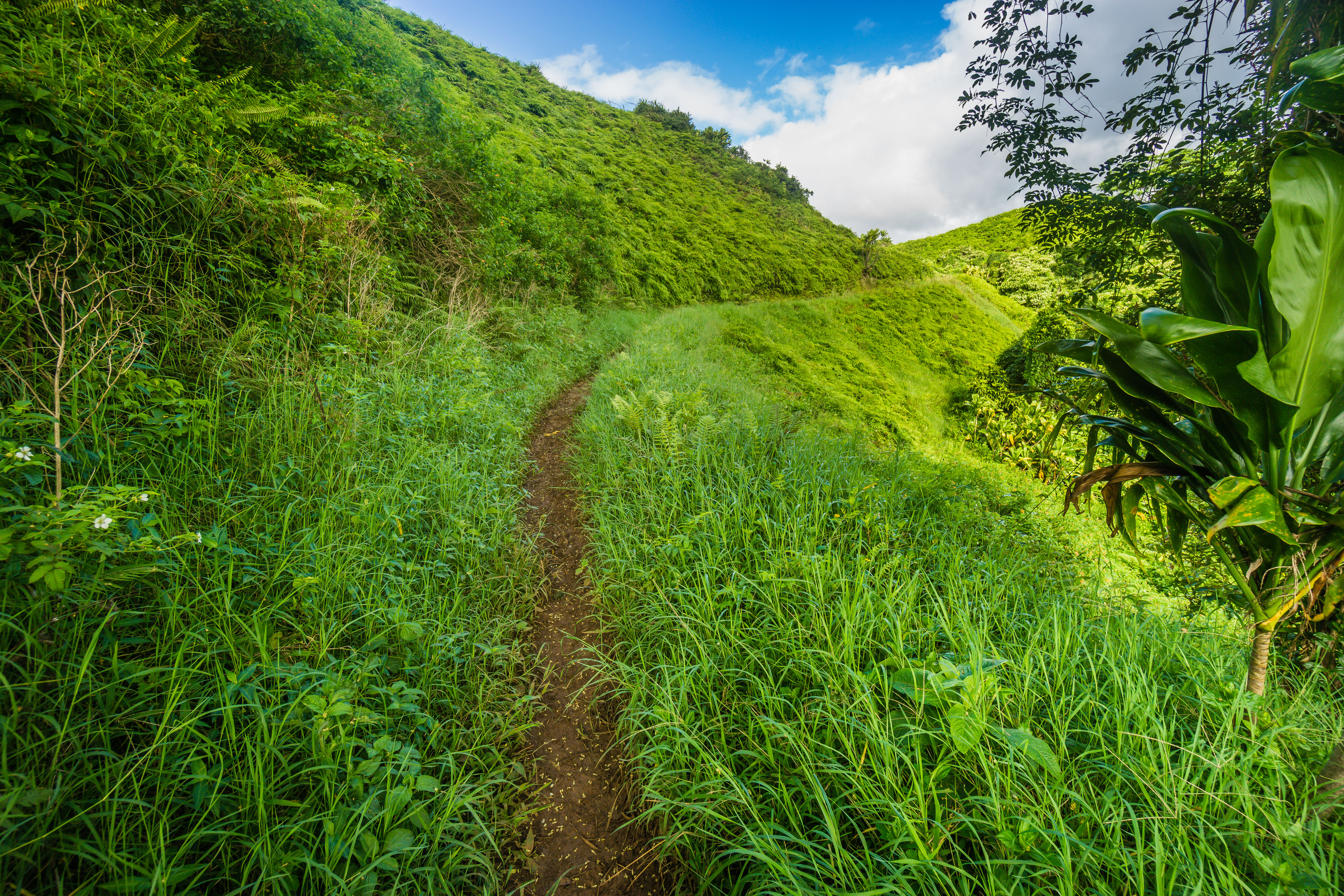Hike the Kuilau Ridge Trail