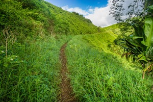 Hike the Kuilau Ridge Trail