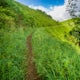 Hike the Kuilau Ridge Trail