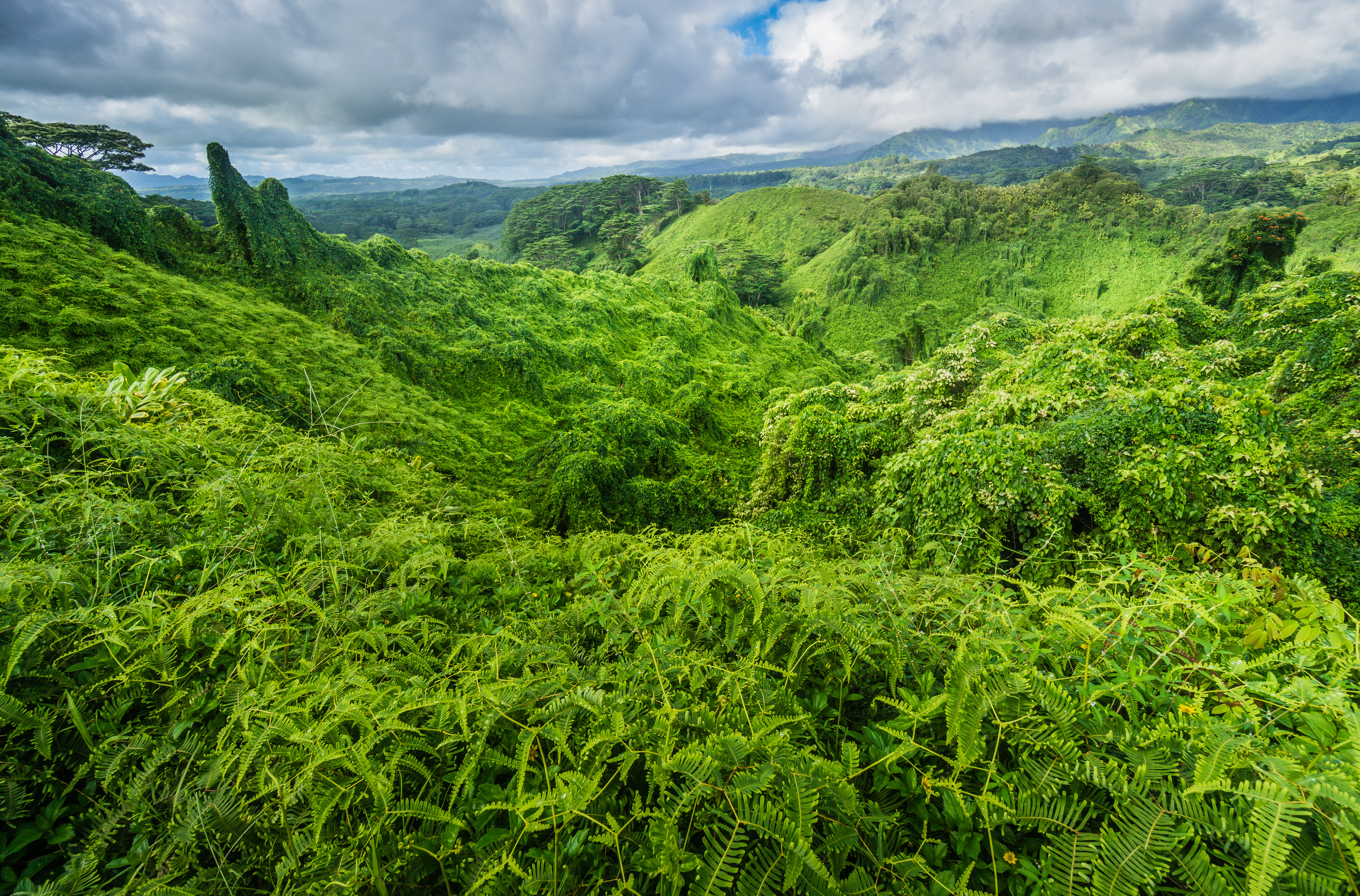Hike the Kuilau Ridge Trail