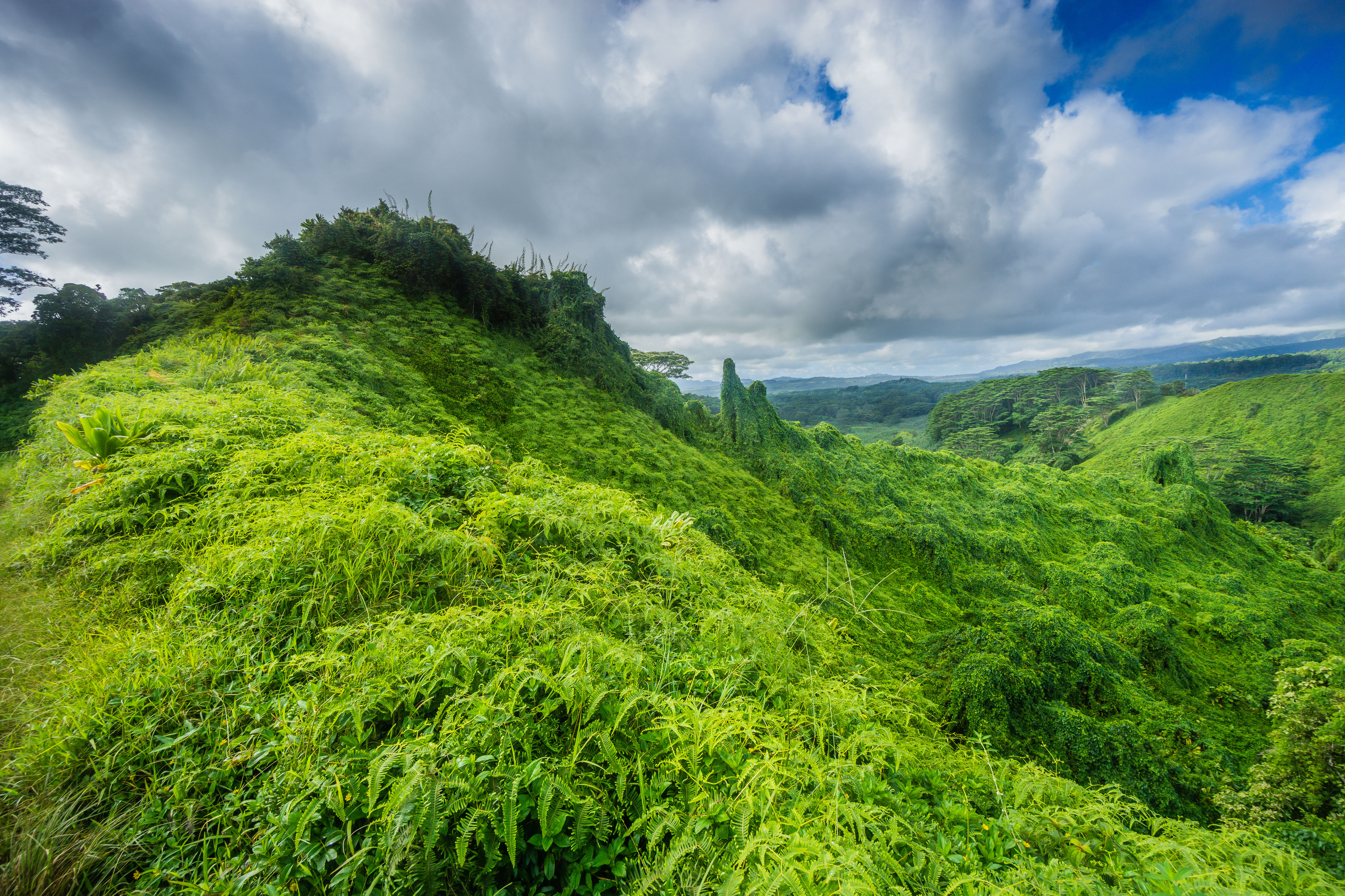 Hike the Kuilau Ridge Trail