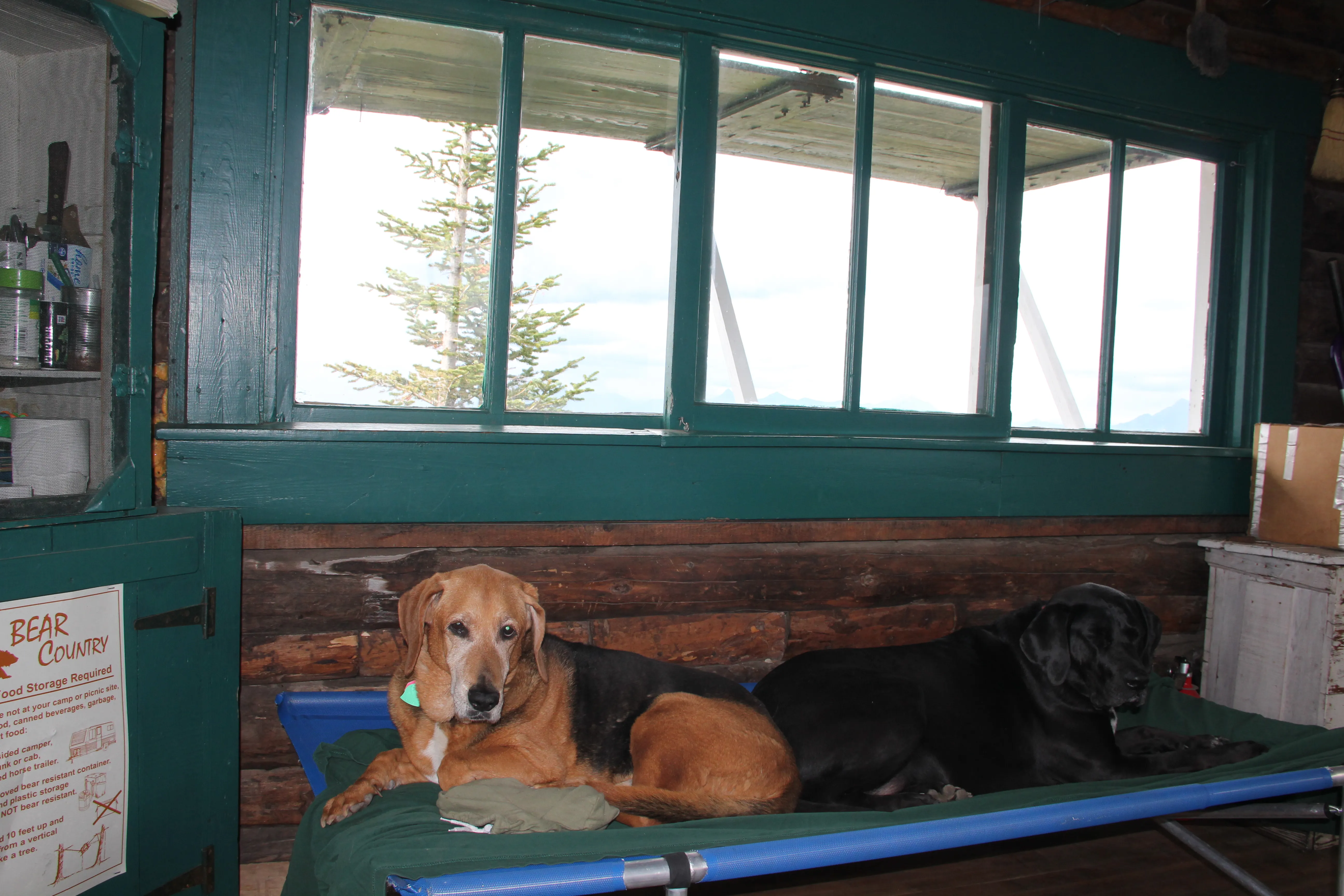 Camp Out at the Hornet Lookout