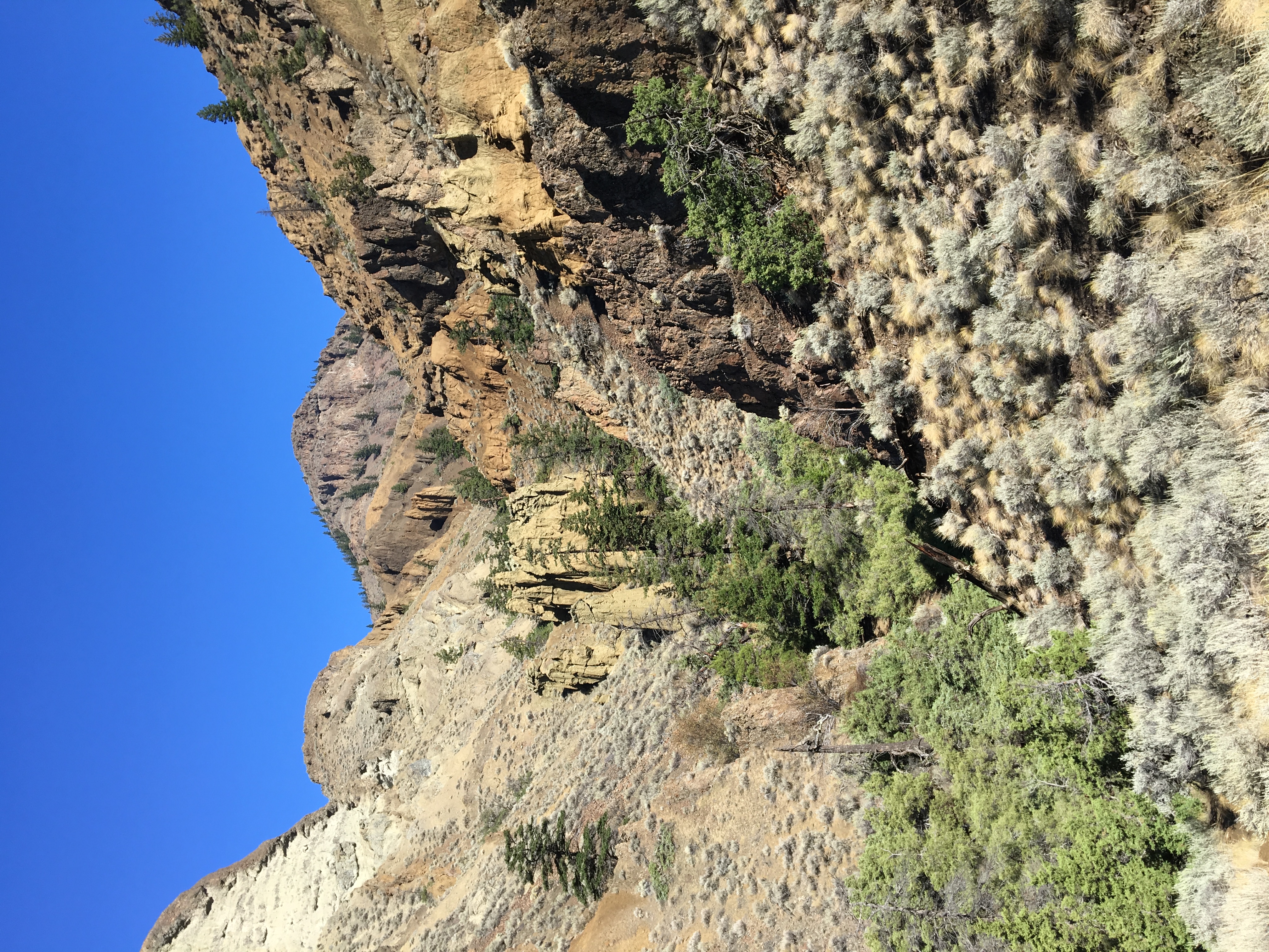 Hike Cinnamon Ridge in Lac du Bois Grasslands Park