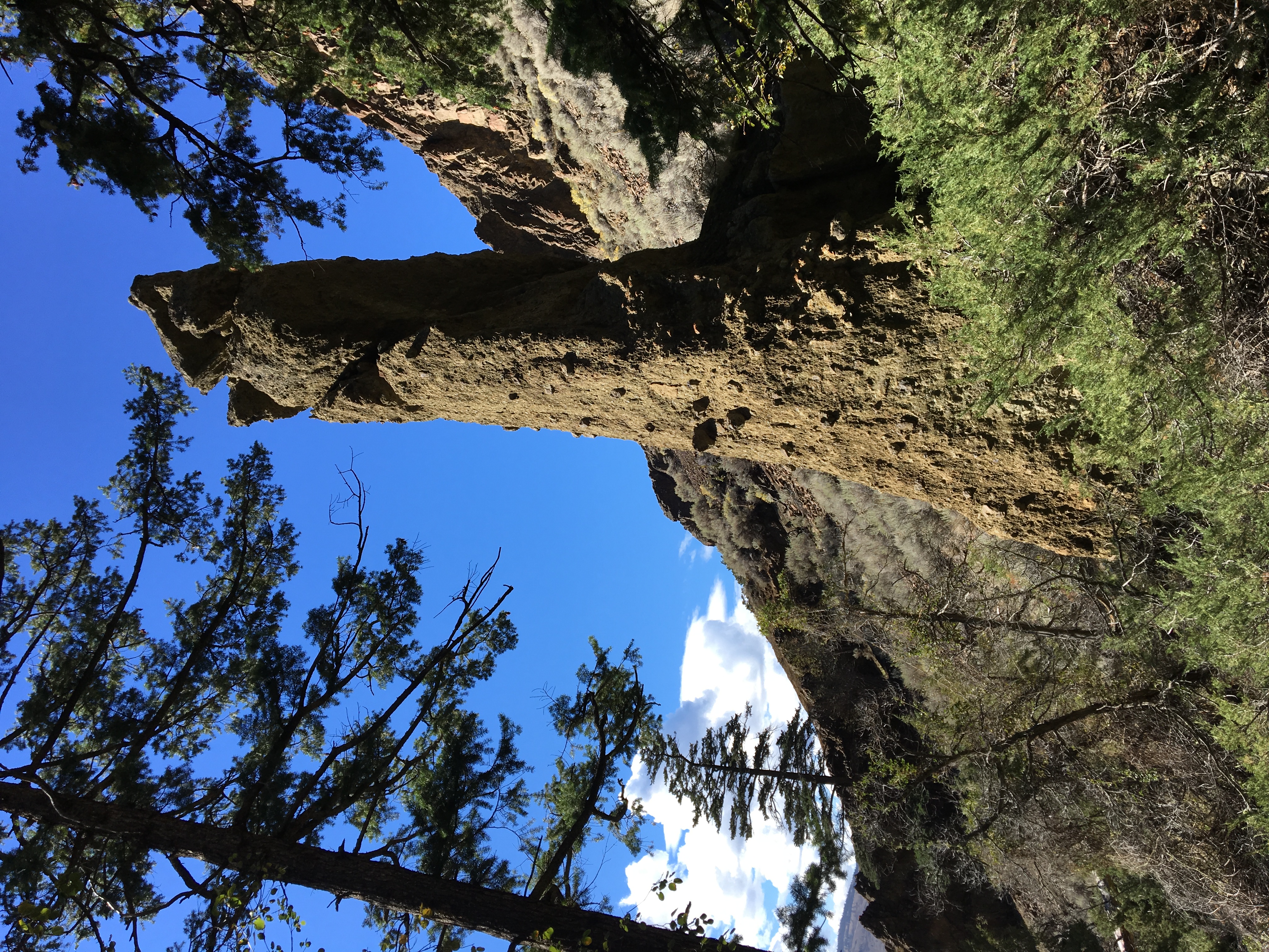 Hike Cinnamon Ridge in Lac du Bois Grasslands Park