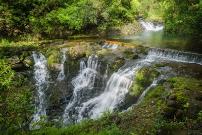 Swim in the Waikoko Stream & Waterfall, Waikoko Stream Parking Area