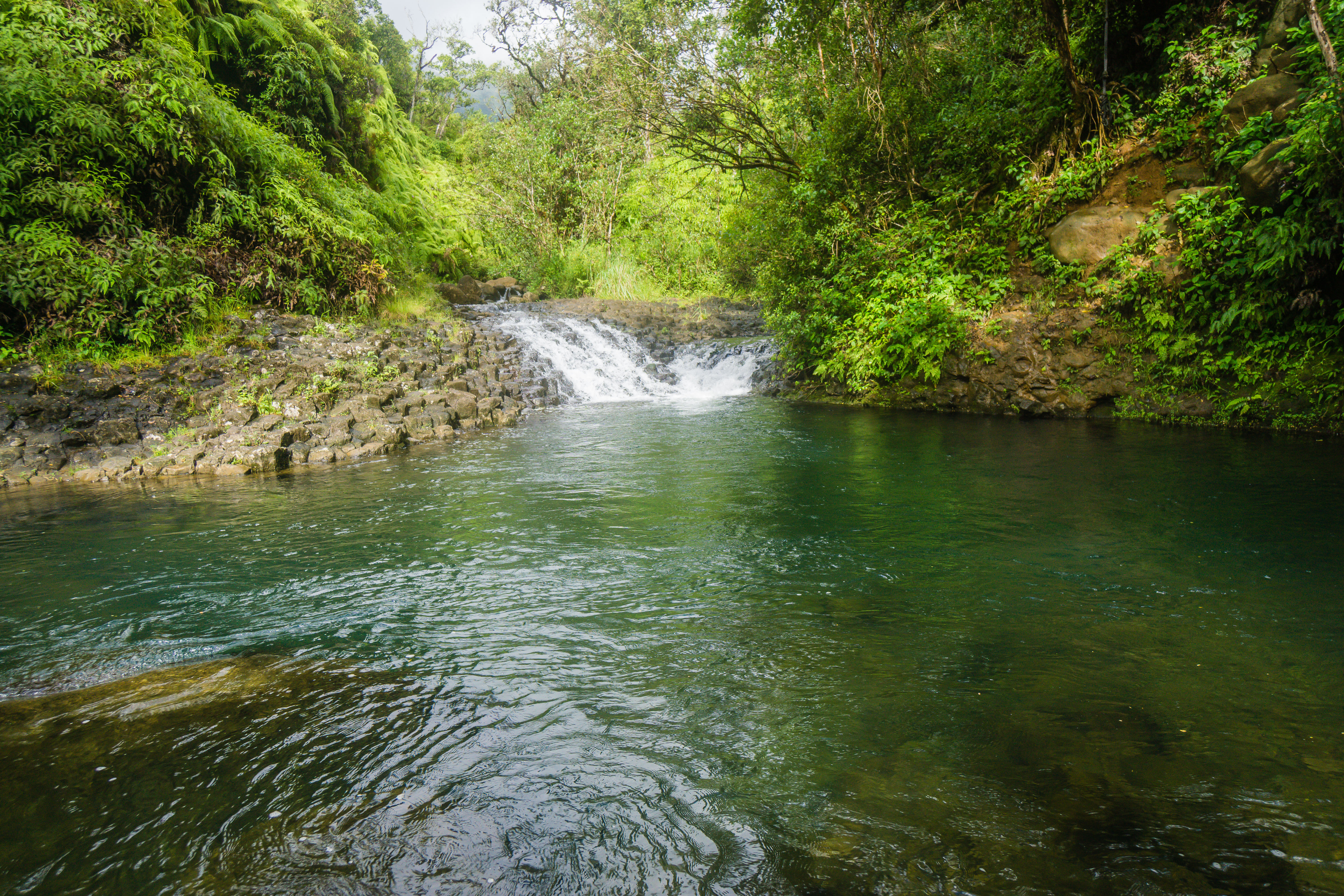 Swim in the Waikoko Stream & Waterfall, Kalaheo, Hawaii