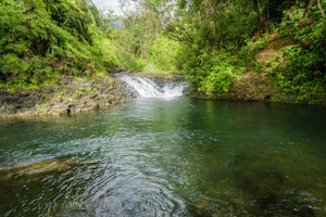 Swim in the Waikoko Stream & Waterfall