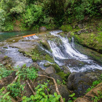 Swim in the Waikoko Stream & Waterfall