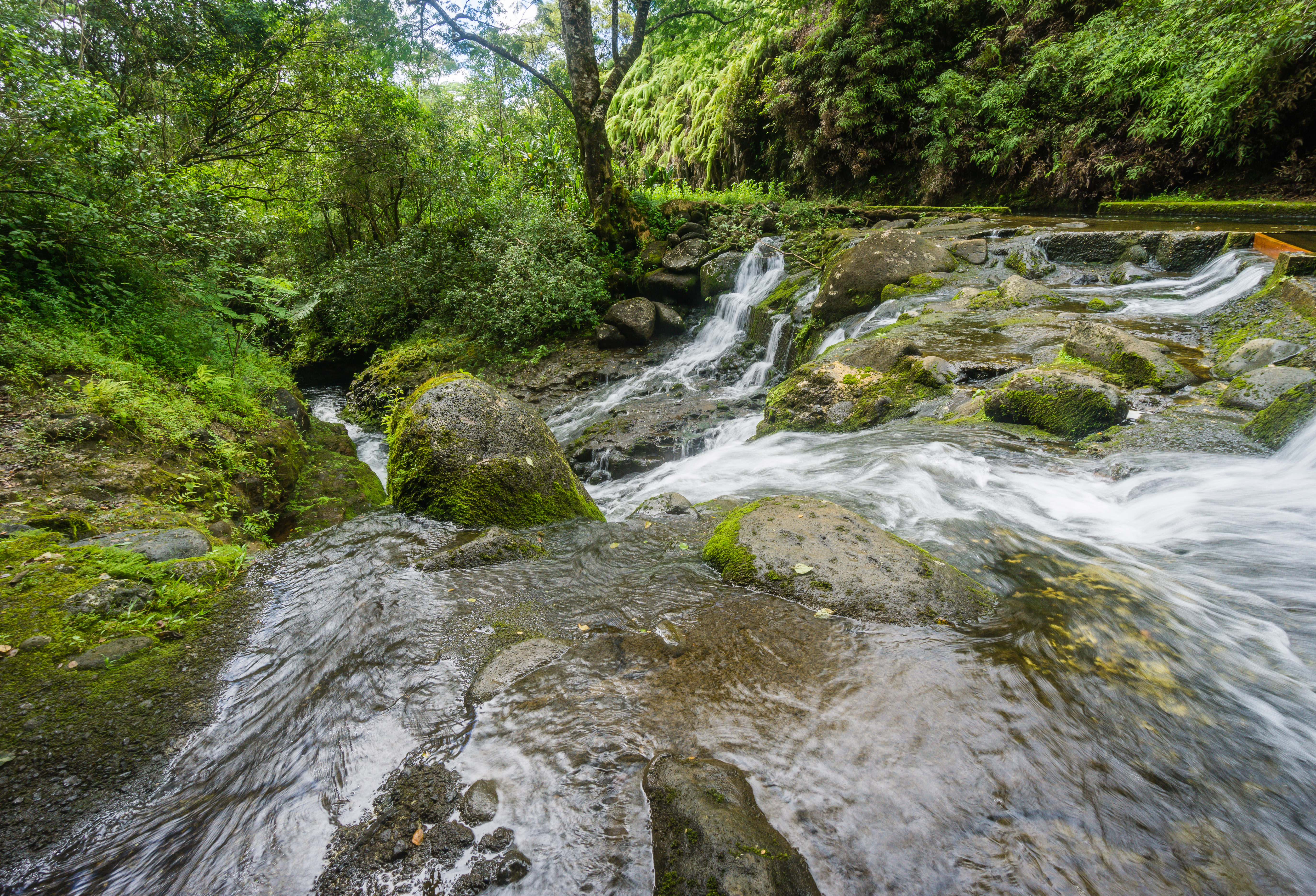 Swim in the Waikoko Stream & Waterfall