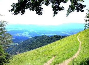 Hike to the Hudičev Boršt Refuge