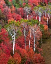 Scenic Autumn Drive around Palisades Reservoir